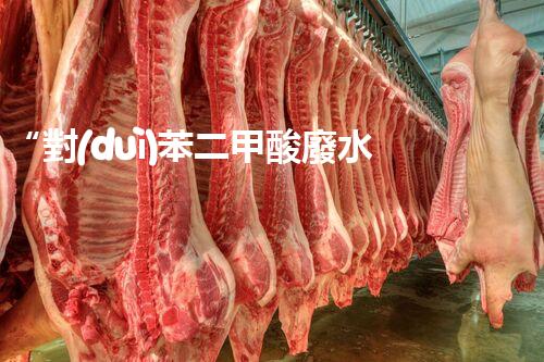 “對(duì)苯二甲酸廢水處理，綠色創(chuàng)新引領(lǐng)環(huán)保新篇章”